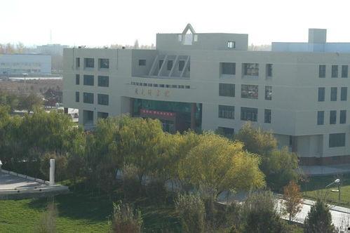 石河子大学爆料事件视频,视频揭露惊人真相